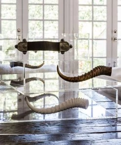 Jamie Dietrich Designs Acrylic Tray With Horn Handles 10 Jamie Dietrich Designs Acrylic Tray With Horn Handles