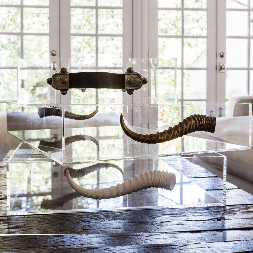 Jamie Dietrich Designs Acrylic Tray With Horn Handles 4 Jamie Dietrich Designs Acrylic Tray With Horn Handles