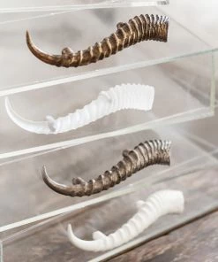 Jamie Dietrich Designs Acrylic Tray With Horn Handles