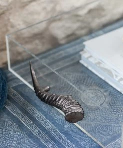 Jamie Dietrich Designs Acrylic Tray With Horn Handles 11 Jamie Dietrich Designs Acrylic Tray With Horn Handles