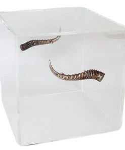 Jamie Dietrich Designs Bella Acrylic Cube Tables