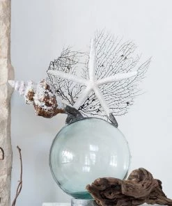 Jamie Dietrich Designs Glass Floats Shell Star Seafan Float (Large)