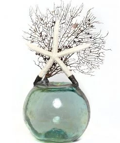 Jamie Dietrich Designs Starfish Seafan Float (Large)