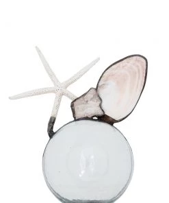 Jamie Dietrich Designs Glass Floats Clam Starfish Geode Float (Medium)
