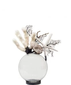 Jamie Dietrich Designs Coral Starfish Seafan Float (Medium)