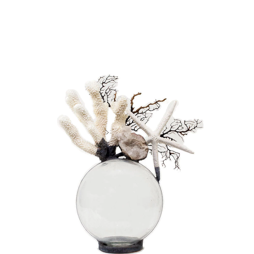 Jamie Dietrich Designs Coral Starfish Seafan Float (Medium) 2 Jamie Dietrich Designs Coral Starfish Seafan Float (Medium)