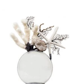 Jamie Dietrich Designs Coral Starfish Seafan Float (Medium)