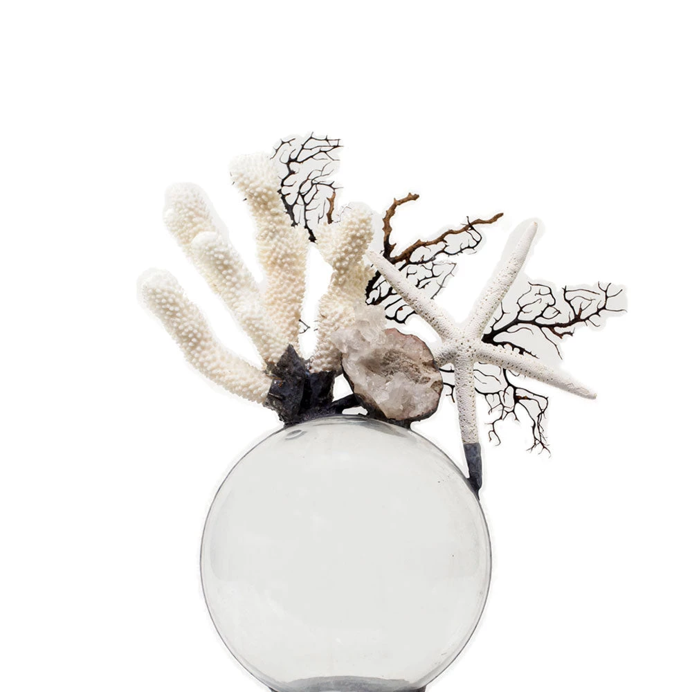 Jamie Dietrich Designs Coral Starfish Seafan Float (Medium) 1 Jamie Dietrich Designs Coral Starfish Seafan Float (Medium)