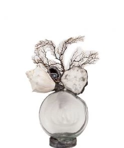 Jamie Dietrich Designs Shell Geode Seafan Float (Medium)