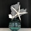 Jamie Dietrich Designs Star Shell White Seafan Teal Float (Medium)