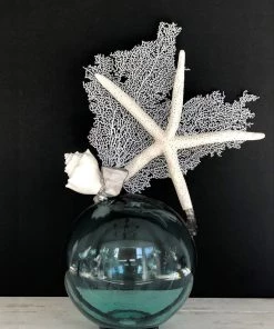 Jamie Dietrich Designs Star Shell White Seafan Teal Float (Medium)