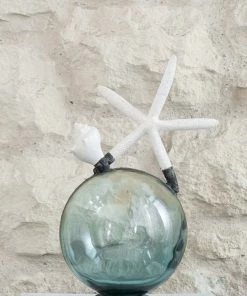 Jamie Dietrich Designs Starfish Shell Teal Float (Medium)