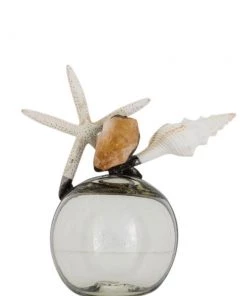 Jamie Dietrich Designs Glass Floats Citrine Starfish Shell Float (Small)