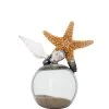 Jamie Dietrich Designs Starfish Sand Float (Small) Glass Floats