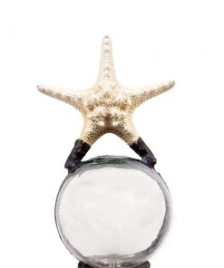 Jamie Dietrich Designs Starfish Float (Small) Glass Floats