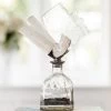 Jamie Dietrich Designs HOME DÉCOR Selenite S&S Geode Bottle