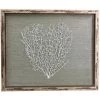Jamie Dietrich Designs HOME DÉCOR Sealife Shadow Box - Blue-Gray/White