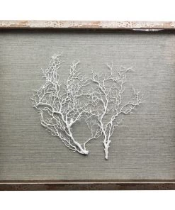 Jamie Dietrich Designs HOME DÉCOR Sealife Shadow Box - Blue-Gray/White