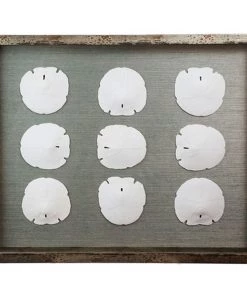 Jamie Dietrich Designs Sealife Shadow Box - Blue-Gray/White