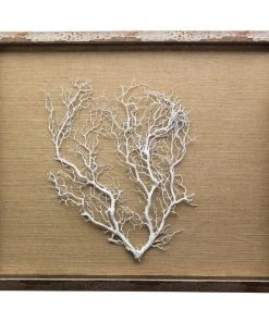 Jamie Dietrich Designs Sealife Shadow Box - Natural/White HOME DÉCOR