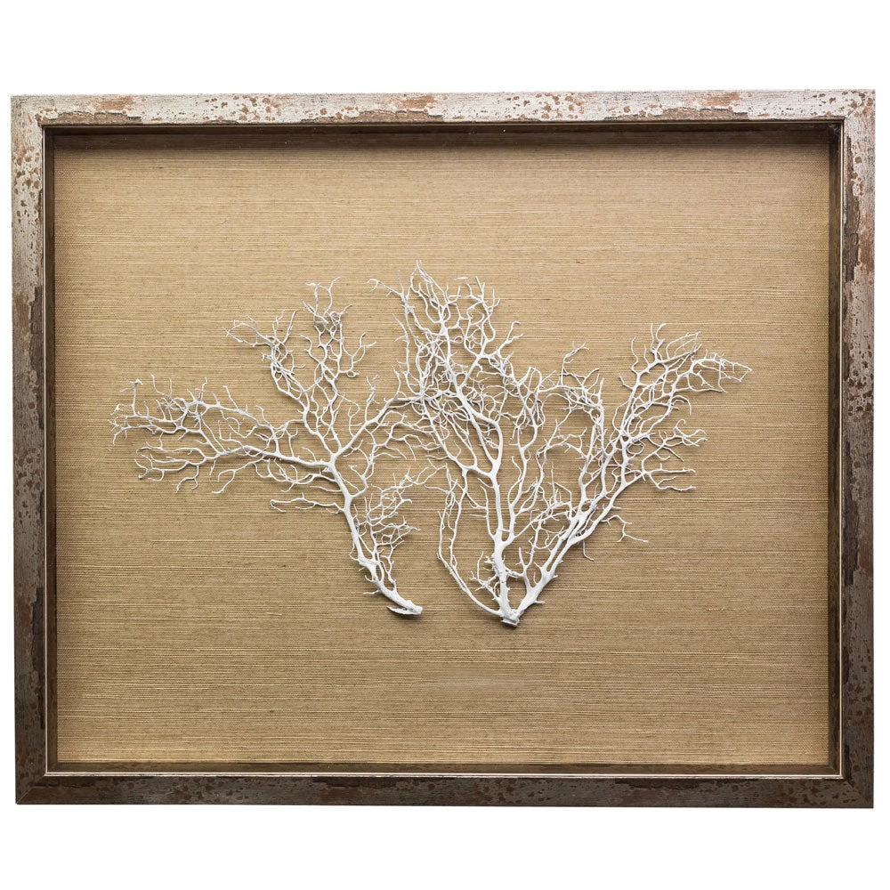 Jamie Dietrich Designs HOME DÉCOR Sealife Shadow Box - Natural/White 2 Jamie Dietrich Designs HOME DÉCOR Sealife Shadow Box - Natural/White