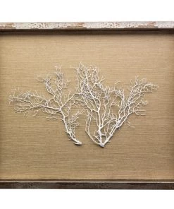 Jamie Dietrich Designs HOME DÉCOR Sealife Shadow Box - Natural/White