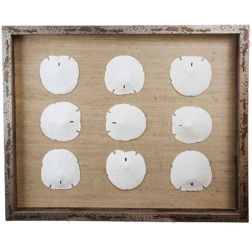 Jamie Dietrich Designs HOME DÉCOR Sealife Shadow Box - Natural/White 3 Jamie Dietrich Designs HOME DÉCOR Sealife Shadow Box - Natural/White