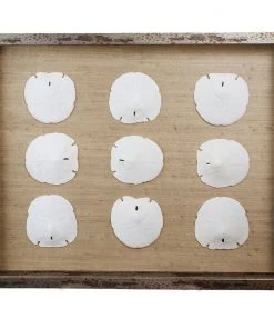 Jamie Dietrich Designs Sealife Shadow Box - Natural/White HOME DÉCOR