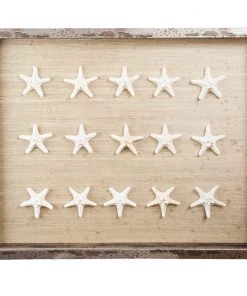Jamie Dietrich Designs HOME DÉCOR Sealife Shadow Box - Natural/White 7 Jamie Dietrich Designs HOME DÉCOR Sealife Shadow Box - Natural/White
