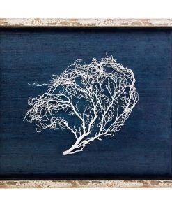 Jamie Dietrich Designs Sealife Shadow Box - Navy/White