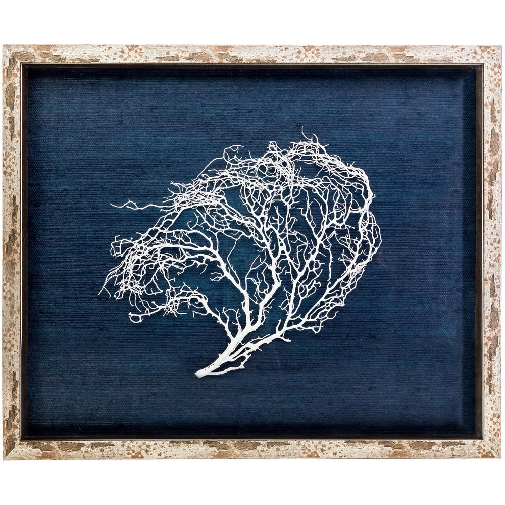 Jamie Dietrich Designs HOME DÉCOR Sealife Shadow Box - Navy/White 2 Jamie Dietrich Designs HOME DÉCOR Sealife Shadow Box - Navy/White