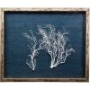 Jamie Dietrich Designs HOME DÉCOR Sealife Shadow Box - Navy/White
