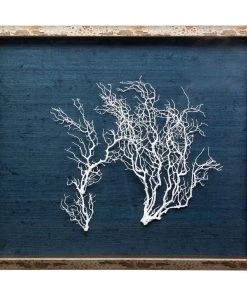 Jamie Dietrich Designs Sealife Shadow Box - Navy/White HOME DÉCOR