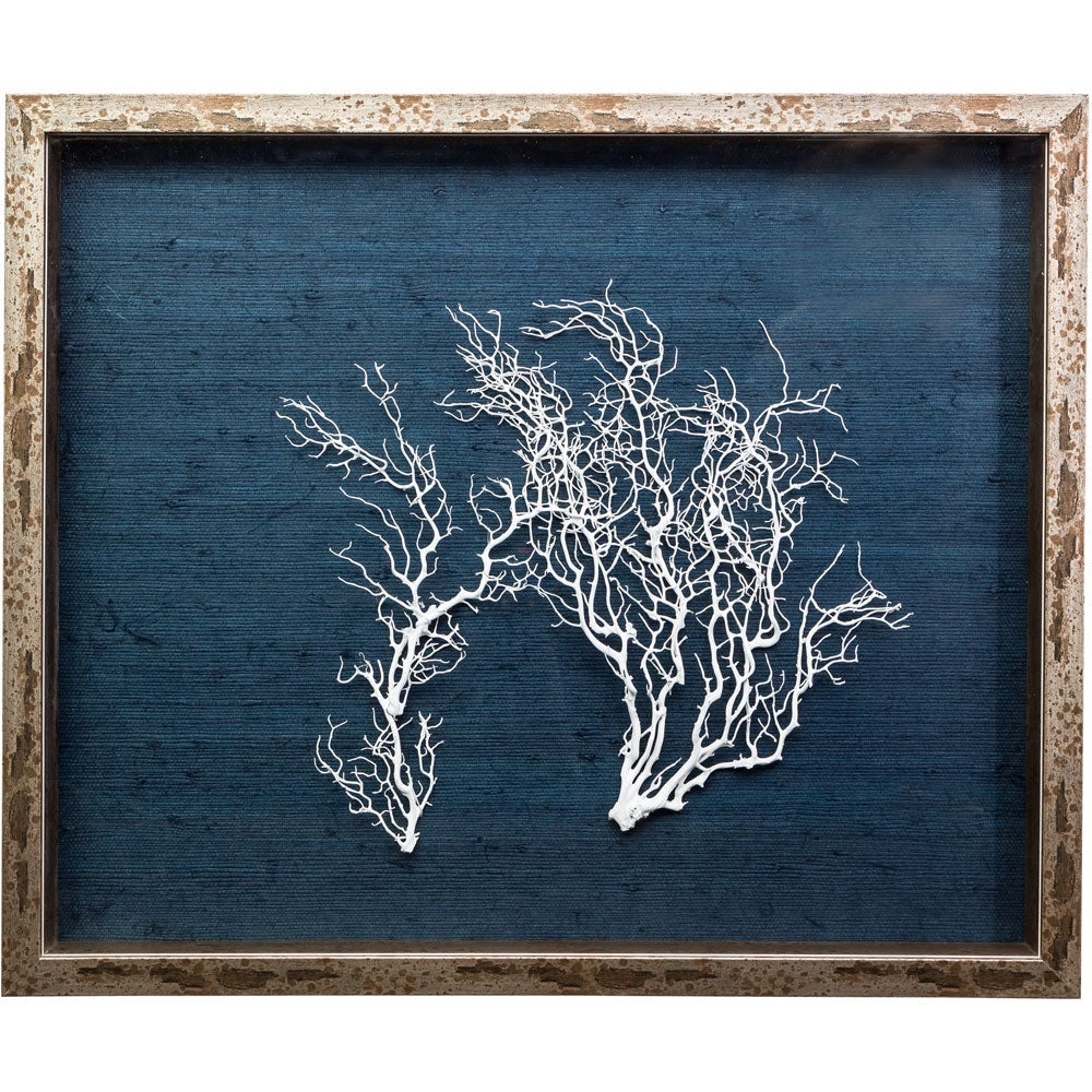 Jamie Dietrich Designs HOME DÉCOR Sealife Shadow Box - Navy/White 3 Jamie Dietrich Designs HOME DÉCOR Sealife Shadow Box - Navy/White