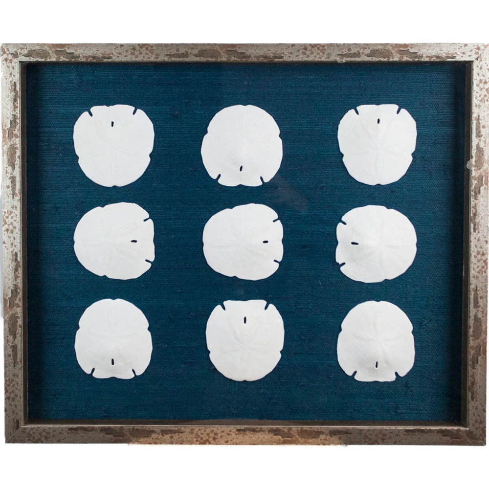 Jamie Dietrich Designs HOME DÉCOR Sealife Shadow Box - Navy/White 3 Jamie Dietrich Designs HOME DÉCOR Sealife Shadow Box - Navy/White