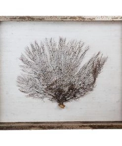 Jamie Dietrich Designs Sealife Shadow Box - White/Natural HOME DÉCOR