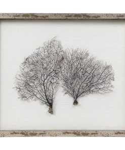 Jamie Dietrich Designs Sealife Shadow Box - White/Natural HOME DÉCOR