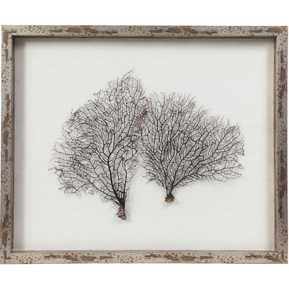 Jamie Dietrich Designs Sealife Shadow Box - White/Natural HOME DÉCOR 1 Jamie Dietrich Designs Sealife Shadow Box - White/Natural HOME DÉCOR