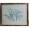 Jamie Dietrich Designs Sealife Shadow Box - White/Ocean HOME DÉCOR