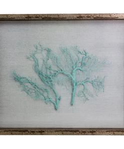 Jamie Dietrich Designs Sealife Shadow Box - White/Ocean HOME DÉCOR