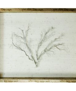 Jamie Dietrich Designs Sealife Shadow Box - White/Silver