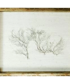 Jamie Dietrich Designs HOME DÉCOR Sealife Shadow Box - White/Silver