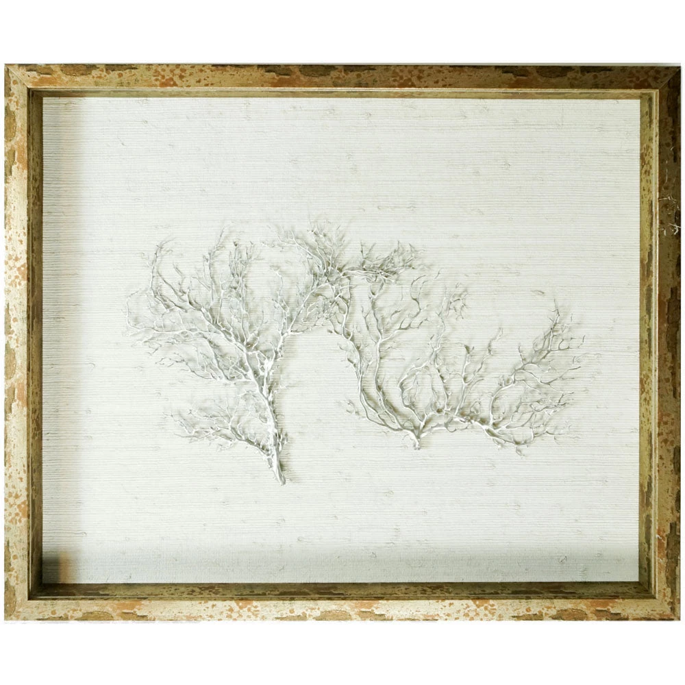 Jamie Dietrich Designs Sealife Shadow Box - White/Silver 1 Jamie Dietrich Designs Sealife Shadow Box - White/Silver