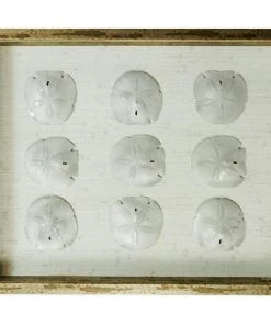 Jamie Dietrich Designs Sealife Shadow Box - White/Silver