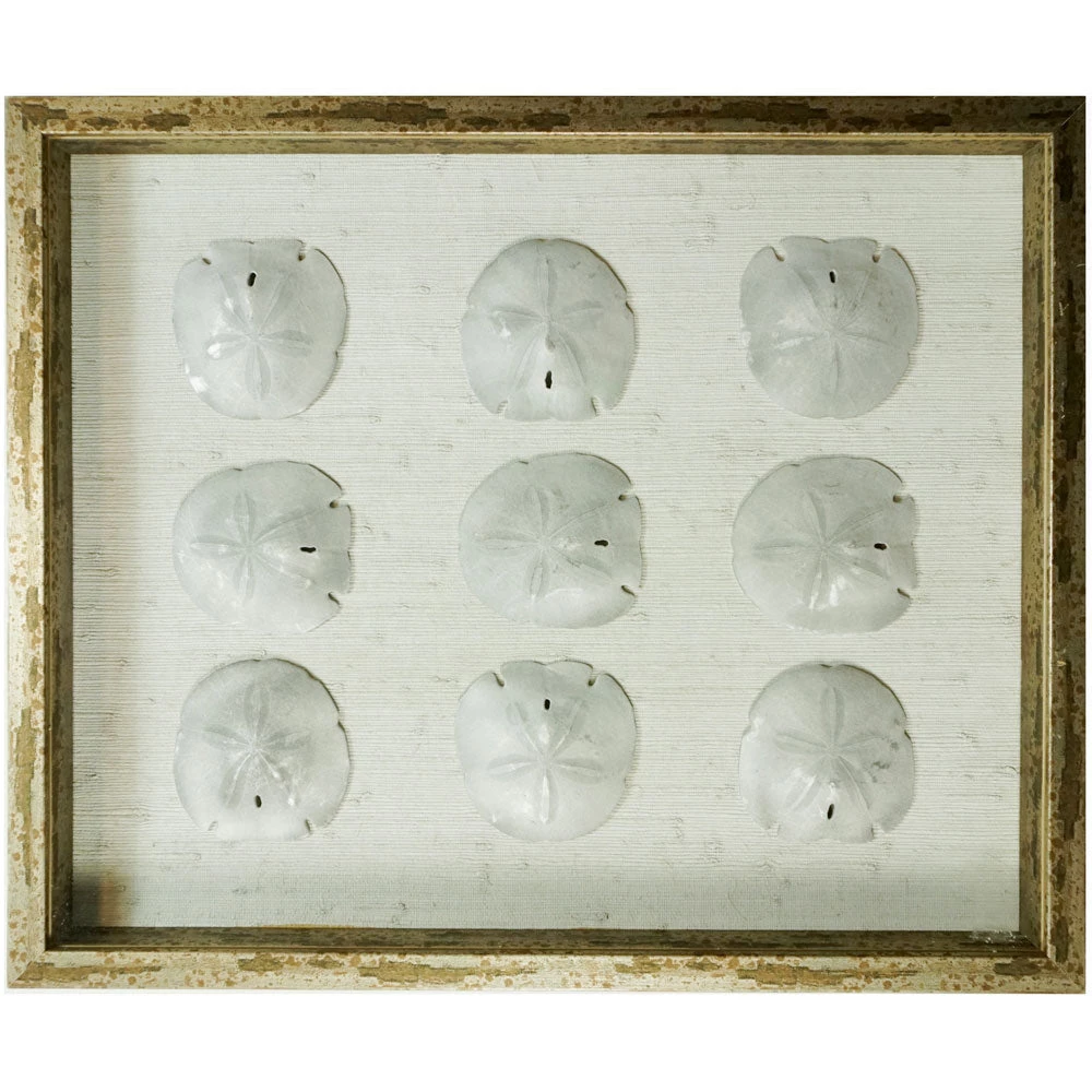 Jamie Dietrich Designs Sealife Shadow Box - White/Silver 3 Jamie Dietrich Designs Sealife Shadow Box - White/Silver