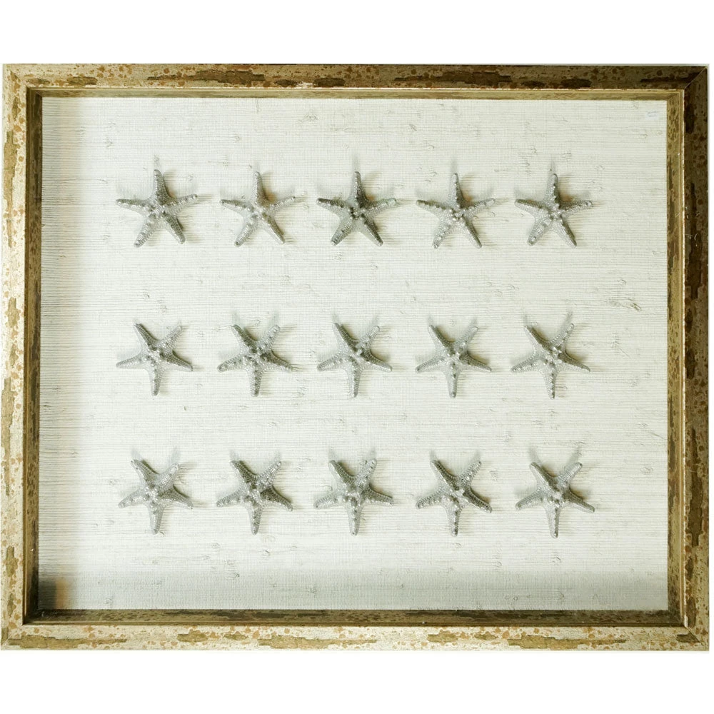 Jamie Dietrich Designs HOME DÉCOR Sealife Shadow Box - White/Silver 4 Jamie Dietrich Designs HOME DÉCOR Sealife Shadow Box - White/Silver