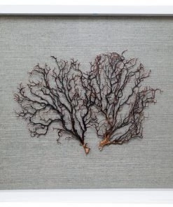 Jamie Dietrich Designs Sealife Shadow Box - Blue-Gray/Natural HOME DÉCOR