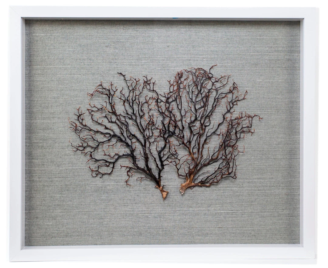 Jamie Dietrich Designs HOME DÉCOR Sealife Shadow Box - Blue-Gray/Natural 2 Jamie Dietrich Designs HOME DÉCOR Sealife Shadow Box - Blue-Gray/Natural