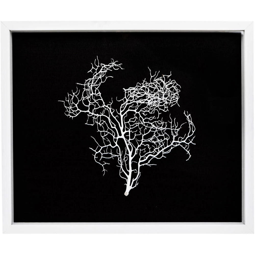 Jamie Dietrich Designs Sealife Shadow Box - Black/White HOME DÉCOR 1 Jamie Dietrich Designs Sealife Shadow Box - Black/White HOME DÉCOR