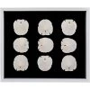 Jamie Dietrich Designs Sealife Shadow Box - Black/White